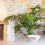 Dendrilia & By Rodostamo Collection Vakantiehuis *