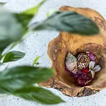 Dendrilia & By Rodostamo Collection Vakantiehuis Kassiopi