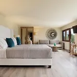 Dendrilia & By Rodostamo Collection