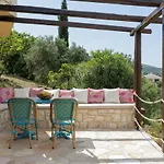 Dendrilia & By Rodostamo Collection