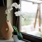 Dendrilia & By Rodostamo Collection Vakantiehuis *