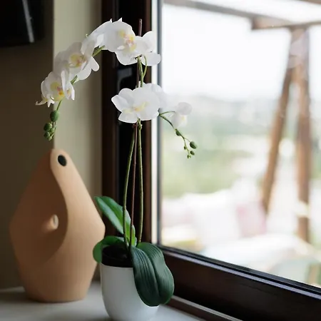 Dendrilia & By Rodostamo Collection Holiday home *