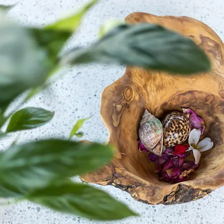 Dendrilia & By Rodostamo Collection Semesterbostad Kassiopi