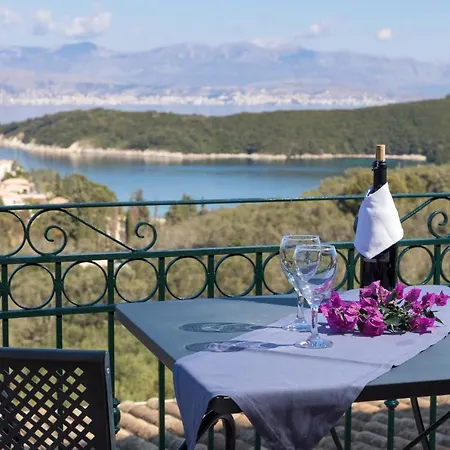 Dendrilia & By Rodostamo Collection