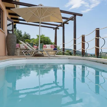 Dendrilia & By Rodostamo Collection *